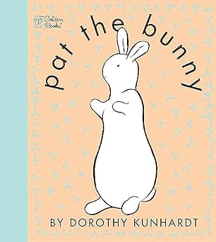 Image of pat the bunny book .Book cover has upright rabbit picture on it.Best sensory toy for 10 months old .